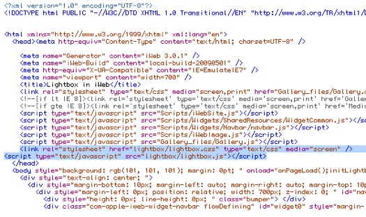 The code inserted into iWeb's head section